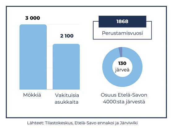 mökkeily hirvensalmella