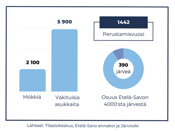 mökkeily juvalla