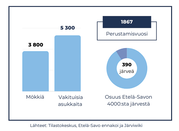 mökkeily kangasniemellä.