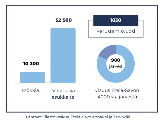 mökkeily Mikkelissä