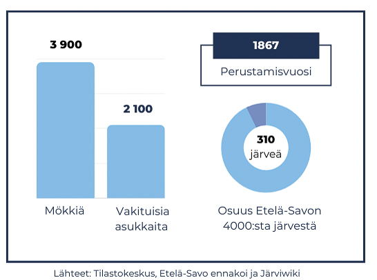 mökkeily puumalassa