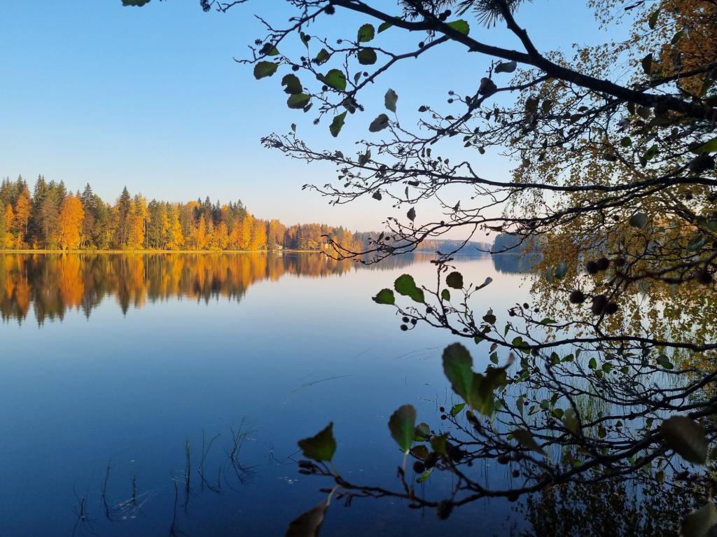 Mökkeily Pitkäjärvellä Mikkelissä.