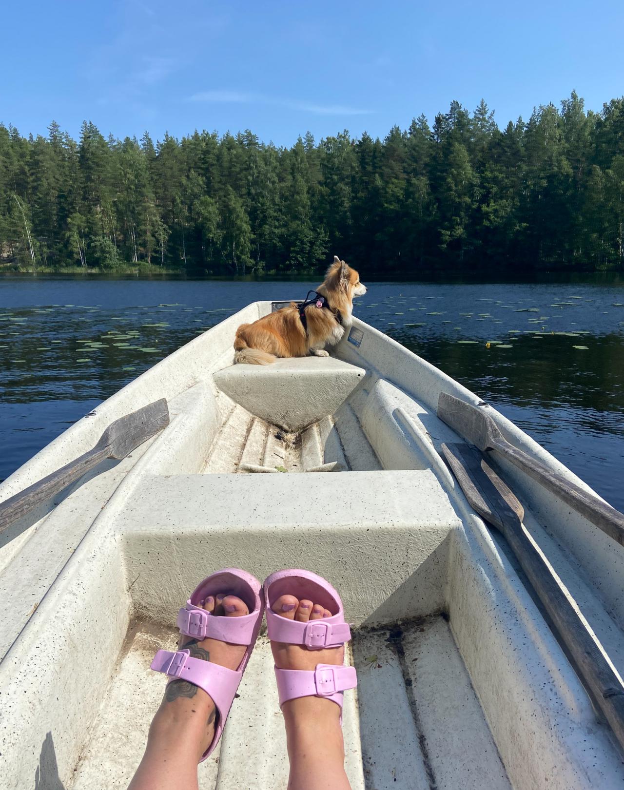 työskentely mökkiseudulla Etelä-Savossa